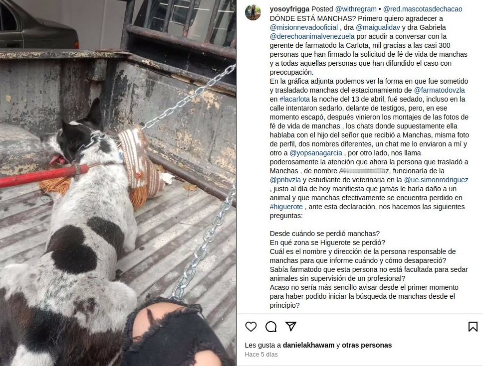 lubrio's tweet photo. Sobre el caso de Manchas, perro comunitario que  entraba frecuentemente al Farmatodo de Los Dos Caminos, aquí hay dos posts de IG:yosoyfrigga (uno de ayer y otro de hace 5 días) informando lo que se sabe hasta ahora. Mañana @SomosNevado tiene programa en Radio Miraflores y Alba Ciudad, a veces informan sobre estos casos, de ser así les aviso.