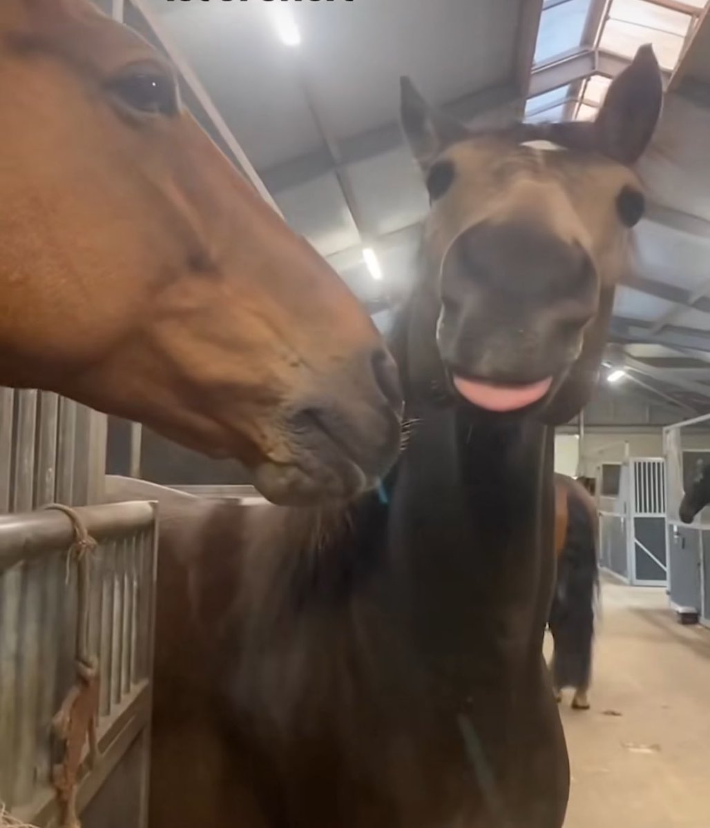 ❆ (@fr0stwlnd) on Twitter photo 