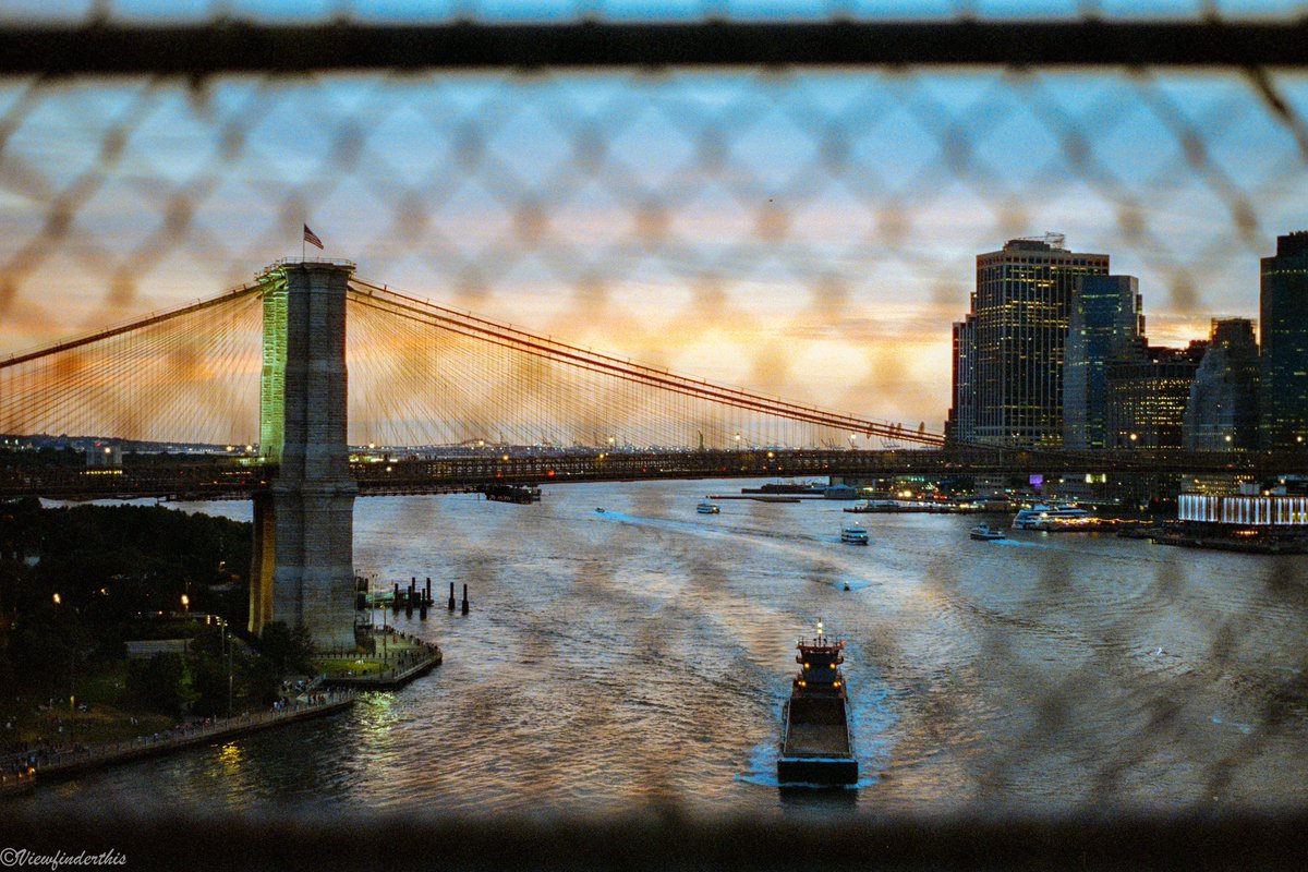 viewfinderthis's tweet image. The Film &amp;amp; The Photos