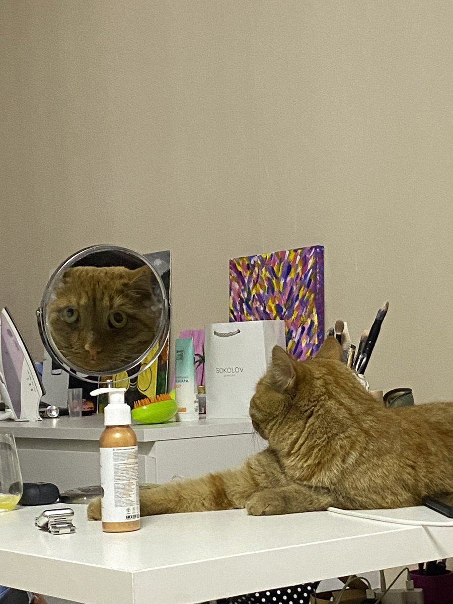 Len_mmm's tweet photo. Зазеркалье уже не то 😼 https://t.co/1LMOG6qi5w