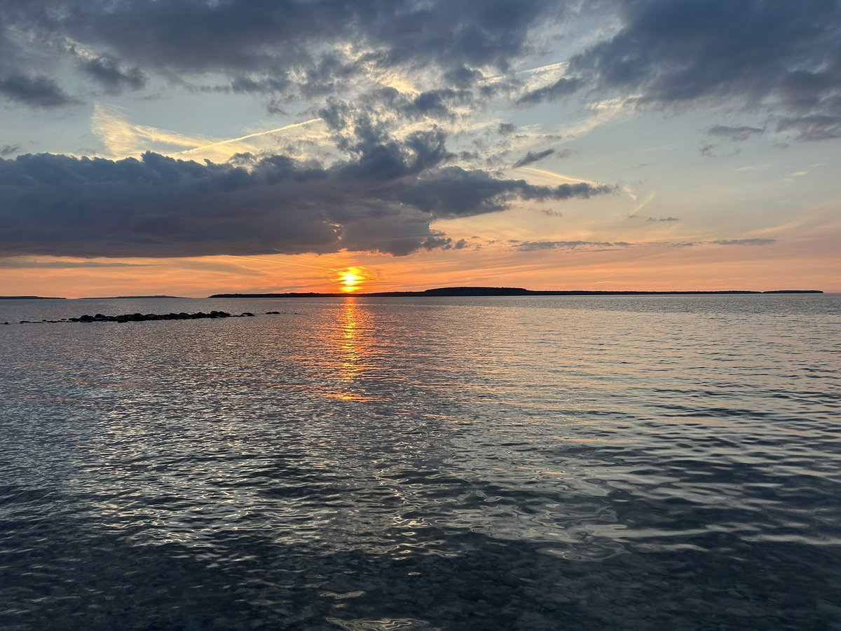 Sebastian Basualto tweet media