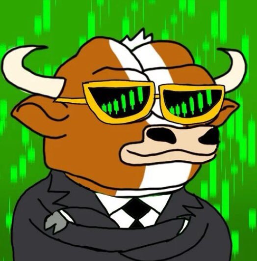 LLUBsol's tweet image. HELLO BULLS BELIEVERS