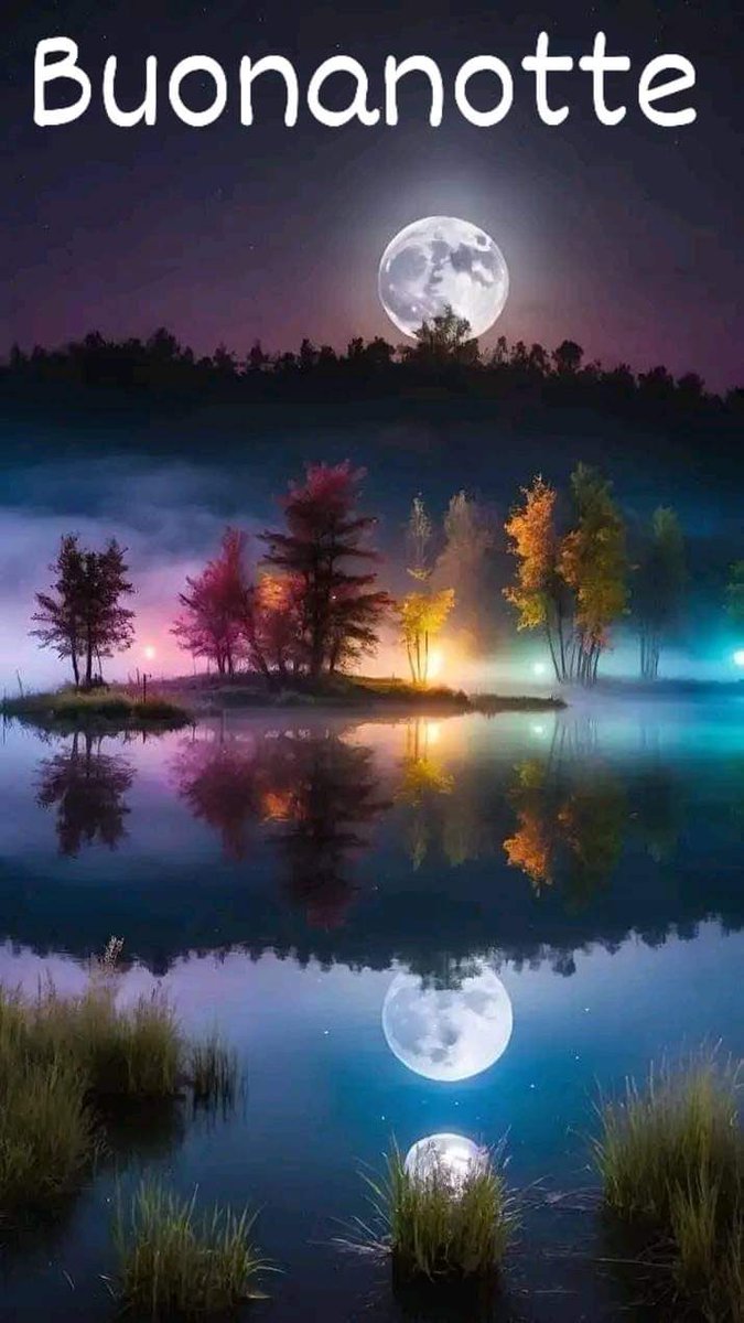 RITABIANCHi56 tweet media