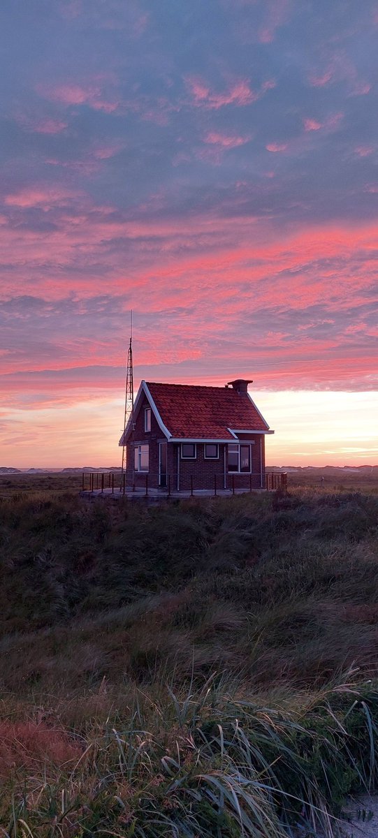 Reinate Brouwer tweet media