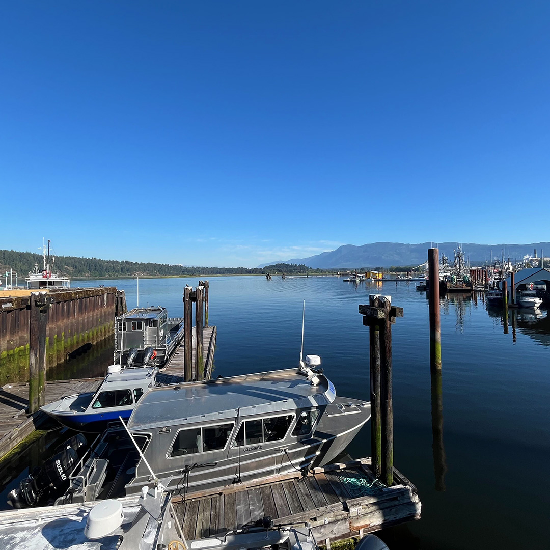 The Gordon Foundation tweet media