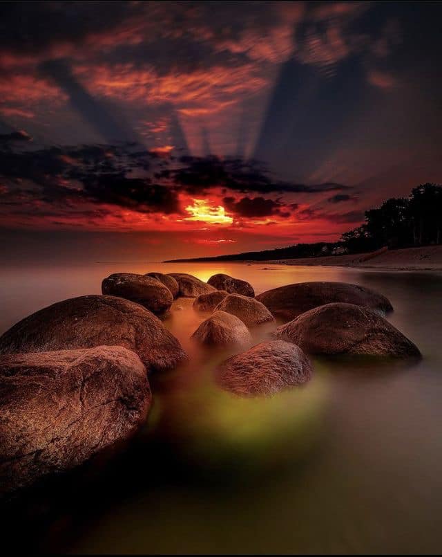 #GOODNIGHT

── ｡｡:｡✧*.｡✰*.:｡✧*.｡:｡ ──

May it be a peaceful night for everyone.

.. 🌺..