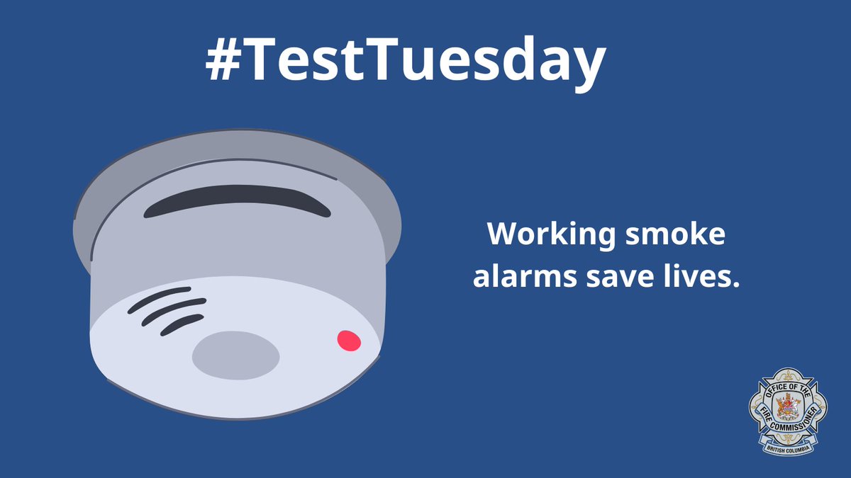 BC_FireSafety's tweet photo. With summer in full swing and people spending more time outdoors it's important to remember to check your smoke and carbon monoxide alarms! Testing once a month helps ensure they are working properly. #TestTuesday #FireSafety https://t.co/oKJH8pRsYU
