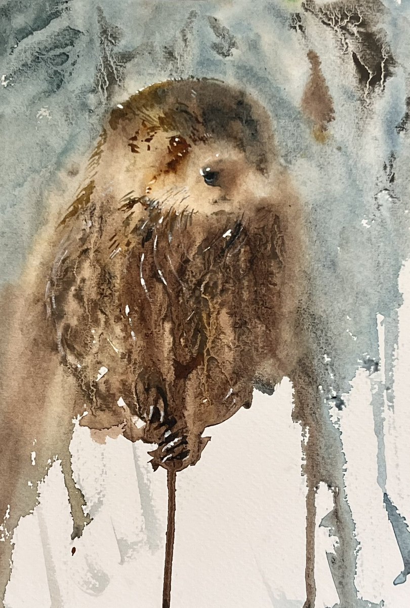 Otter in Watercolour 
Inspired by my latest online tutorial. Created with home made granulation fluid.