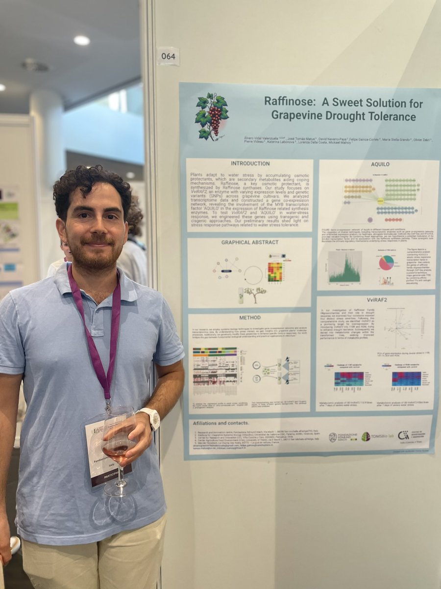jtmatus's tweet photo. Its time for @Alvi_nacho to present our hydric stress atlas and our gene editing strategies for drought resilience #vitviz #tomsbiolab @OpenGPB2024 https://t.co/WGEFx1pS8V
