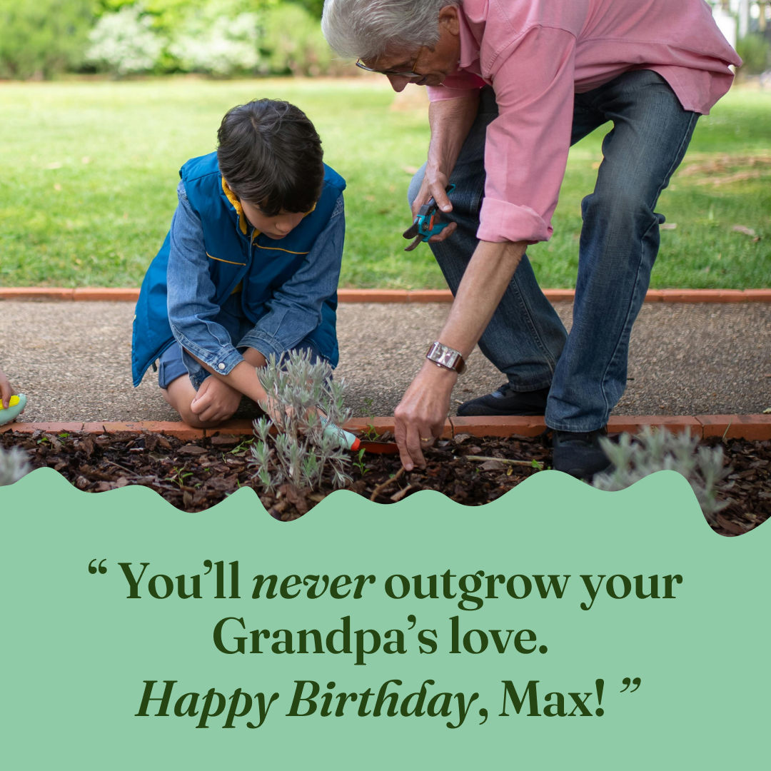 Letterfest tweet media