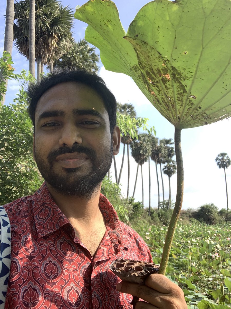 SuperTurtle PfP tweet media