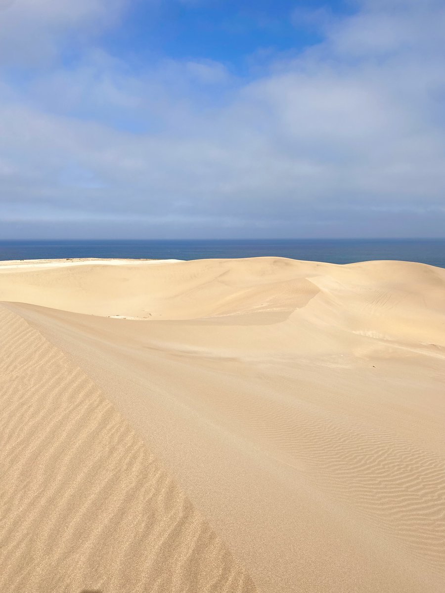 Reda ⵣ tweet media