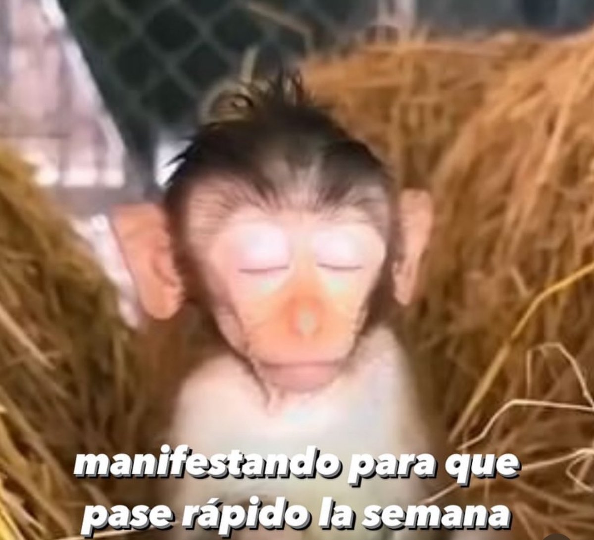 soyMargarlto's tweet photo. Ya que se acabe https://t.co/Y2hjirgwNr