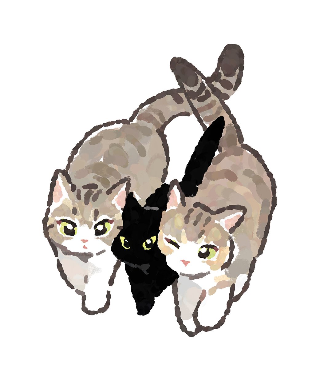 gentleeeeeeecat's tweet photo. https://t.co/ZBYU8VRzxl