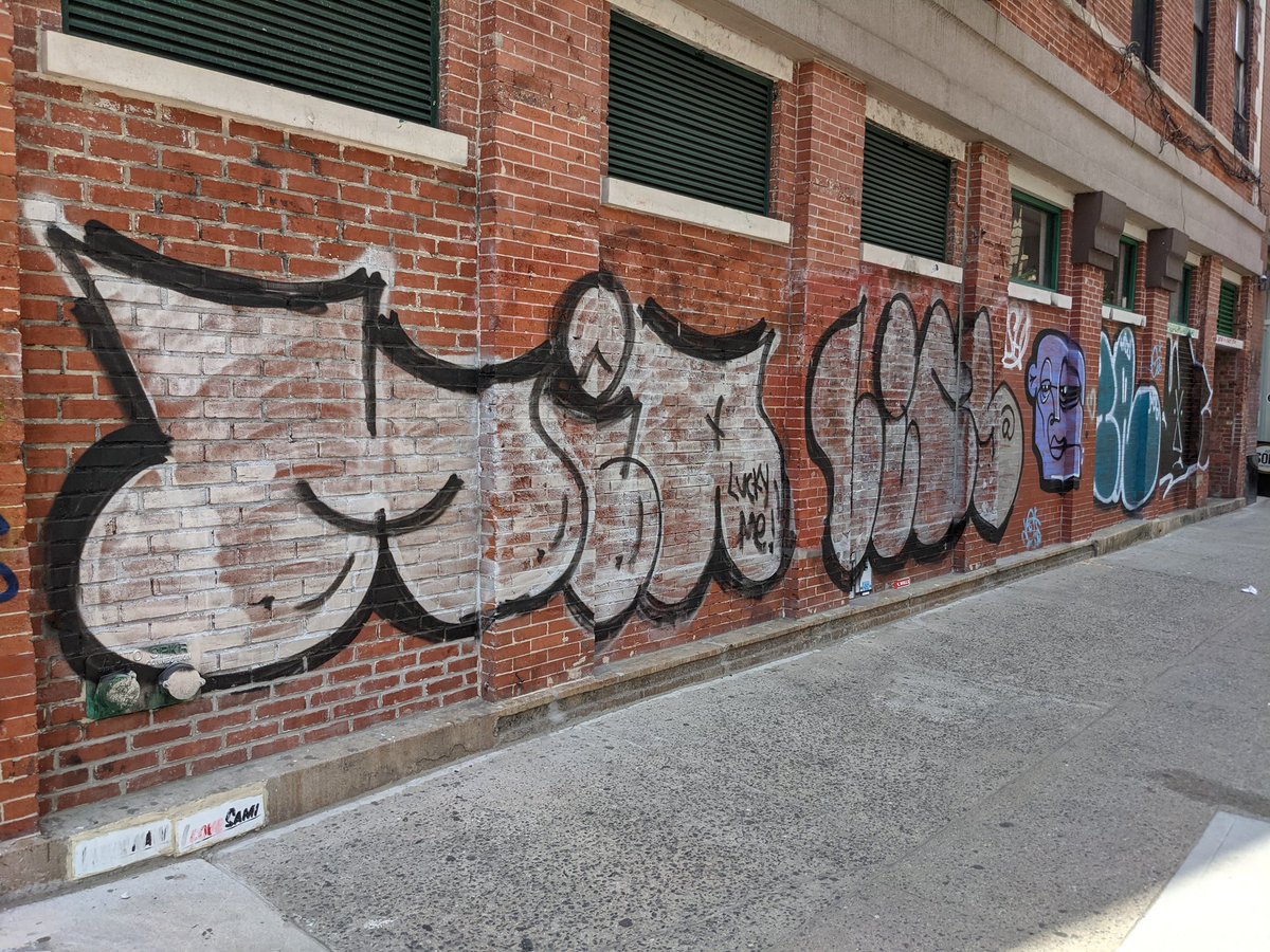 SuperTurtle PfP tweet media