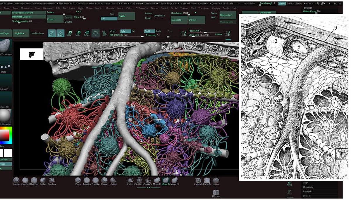 MadMicrobe tweet media