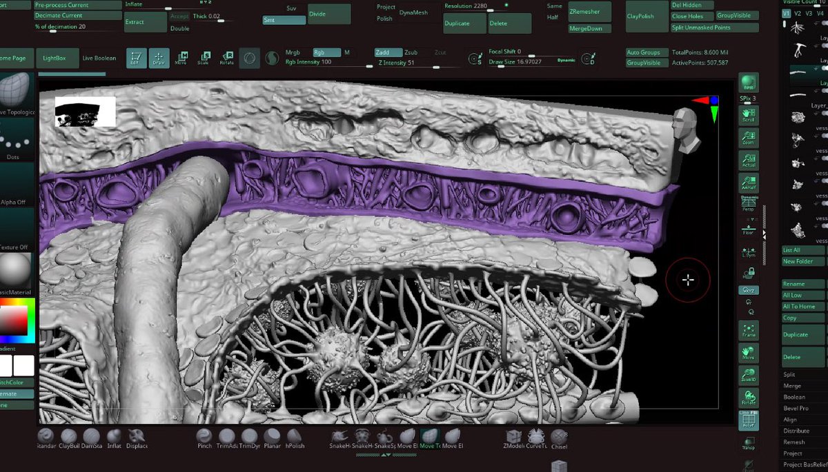 MadMicrobe tweet media