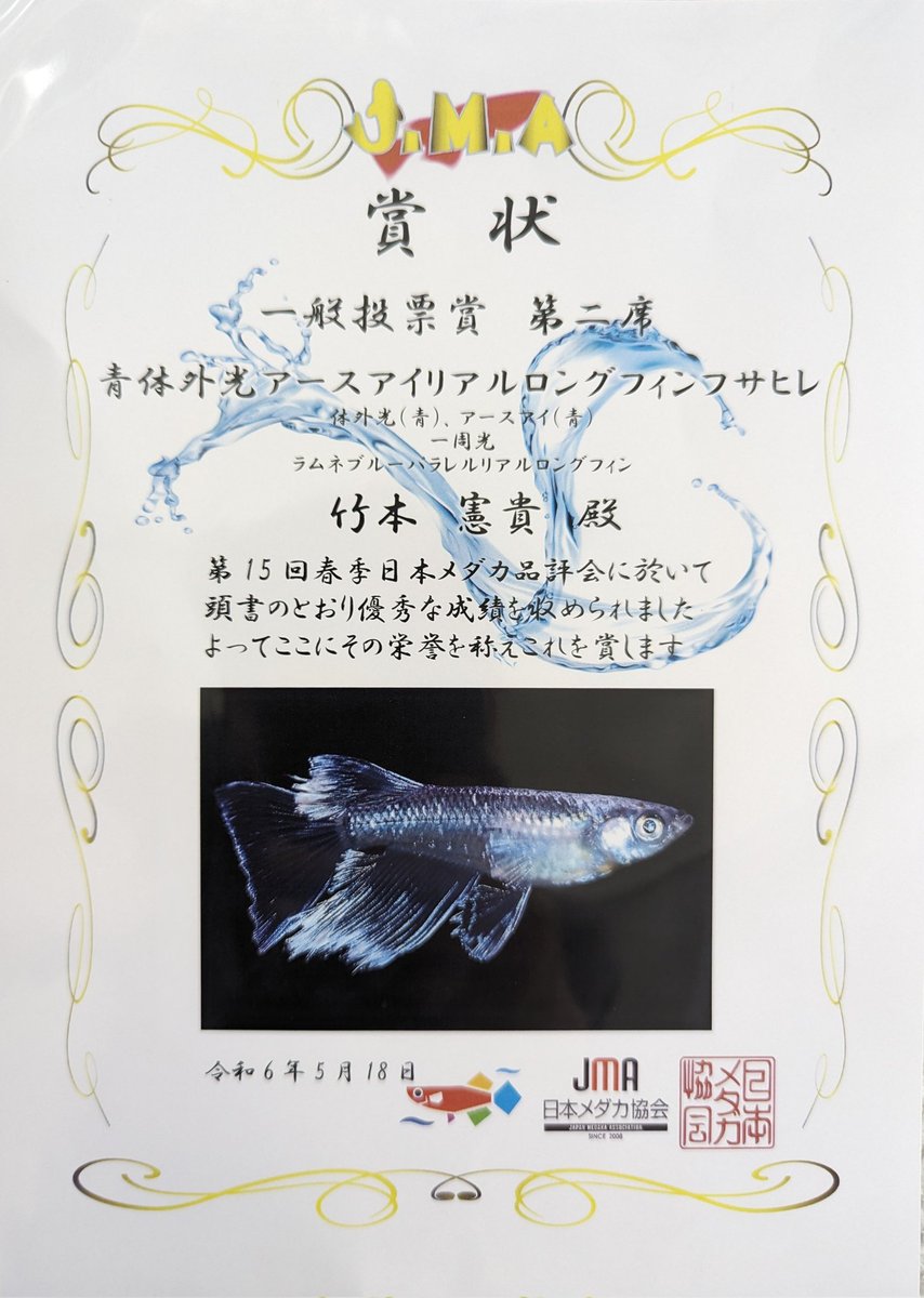 めだかの学校 勲章9点まとめ めだかの学校 勲章9点まとめ めだかの