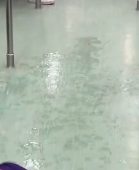 Esa Manta tweet media