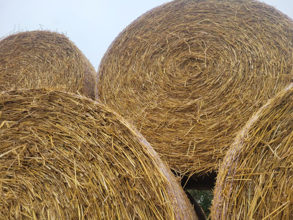 NuhnForage's tweet image. Don’t get caught with bad straw this season. The Juice is a proven mould inhibitor that prevents dust and caking! #makeseriousstraw 
#straw2024 #thejuice #madeincanada #canadianagriculture