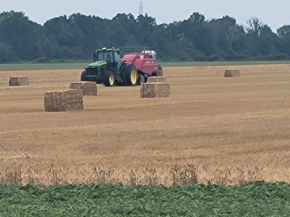 NuhnForage's tweet image. Don’t get caught with bad straw this season. The Juice is a proven mould inhibitor that prevents dust and caking! #makeseriousstraw 
#straw2024 #thejuice #madeincanada #canadianagriculture