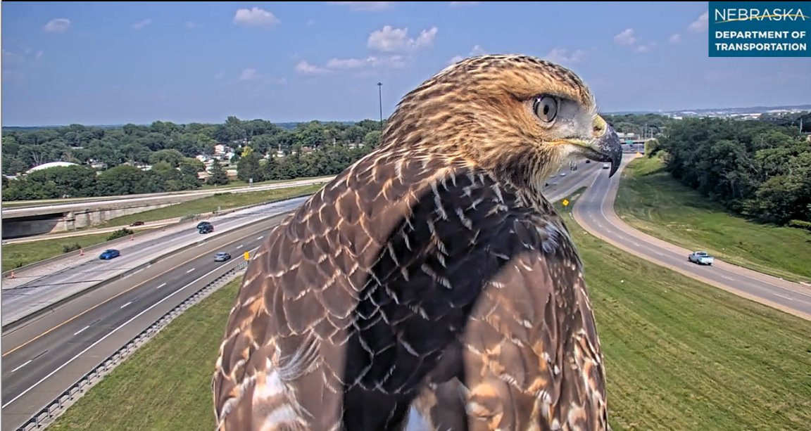 Omaha Highway Conditions tweet media