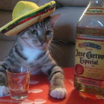 Restumpy's tweet image. 