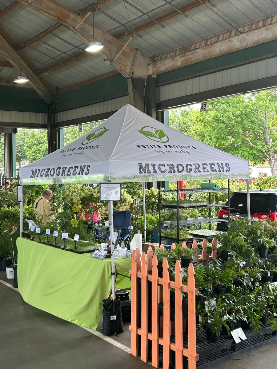 King Canopy tweet media