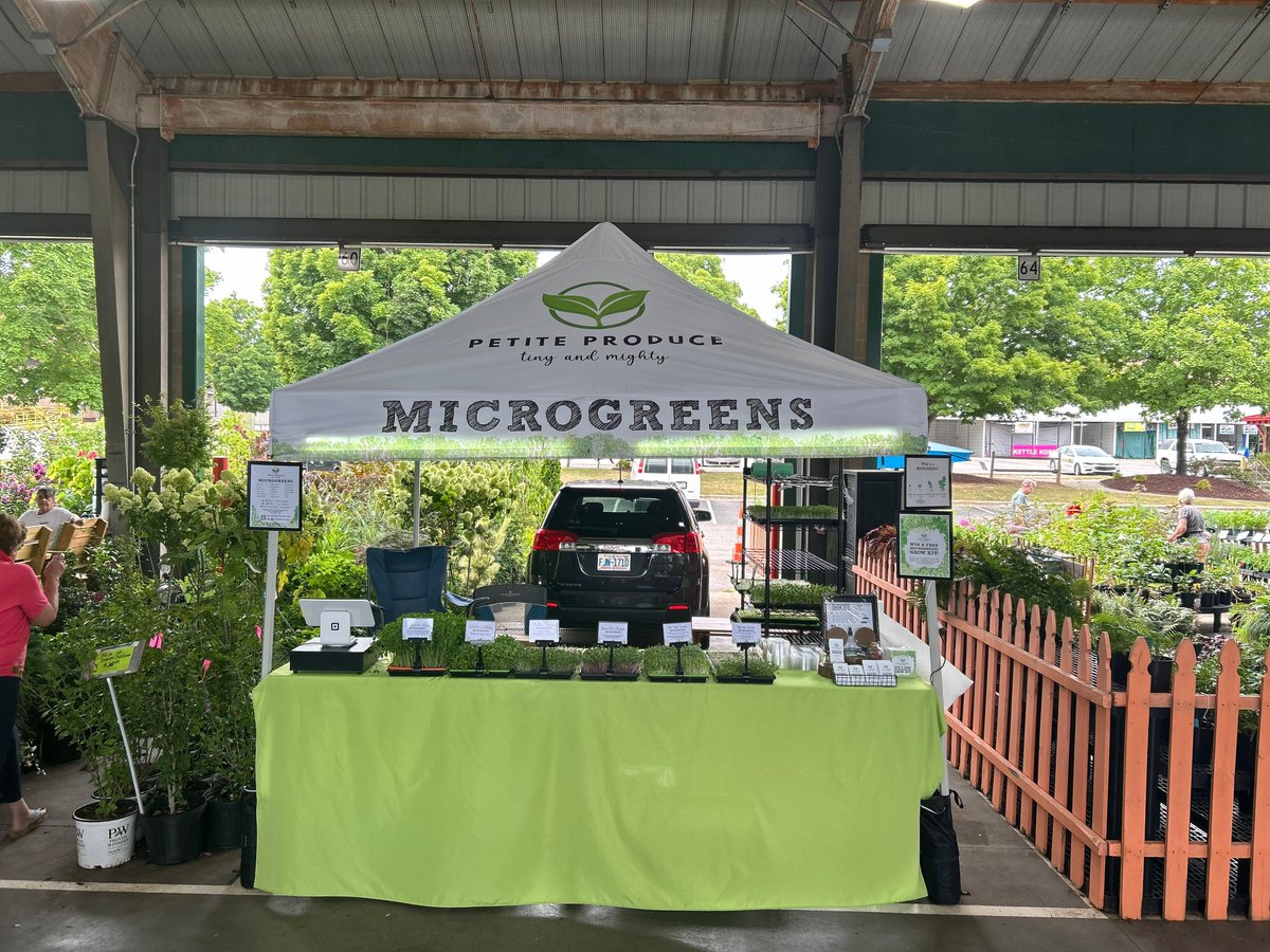 King Canopy tweet media