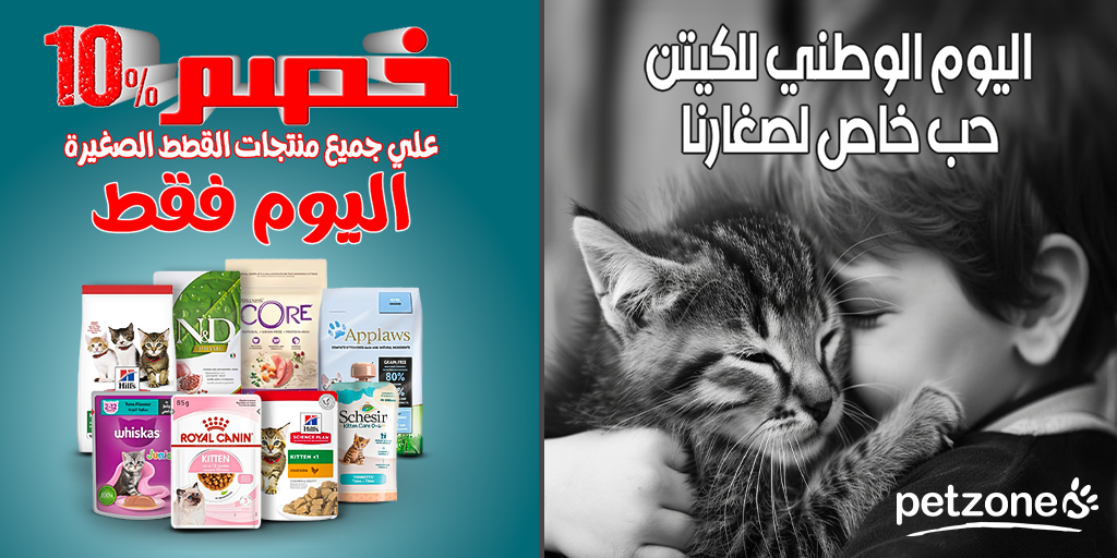 petzoneksa's tweet photo. 🐾 في اليوم الوطني للكيتن، لنحتفل بالفرح والحب الذي تجلبه لنا قططنا الصغيرة الجميلة!
 لجعل هذا اليوم مميزًا أكثر، استمتعوا بخصم 10% على جميع مستلزمات الكيتن، فقط اليوم 10-7-2024. دللوا صغاركم الفرويين بأفضل المنتجات من بت زون! 🐱❤️ https://t.co/ICFpIwfegV