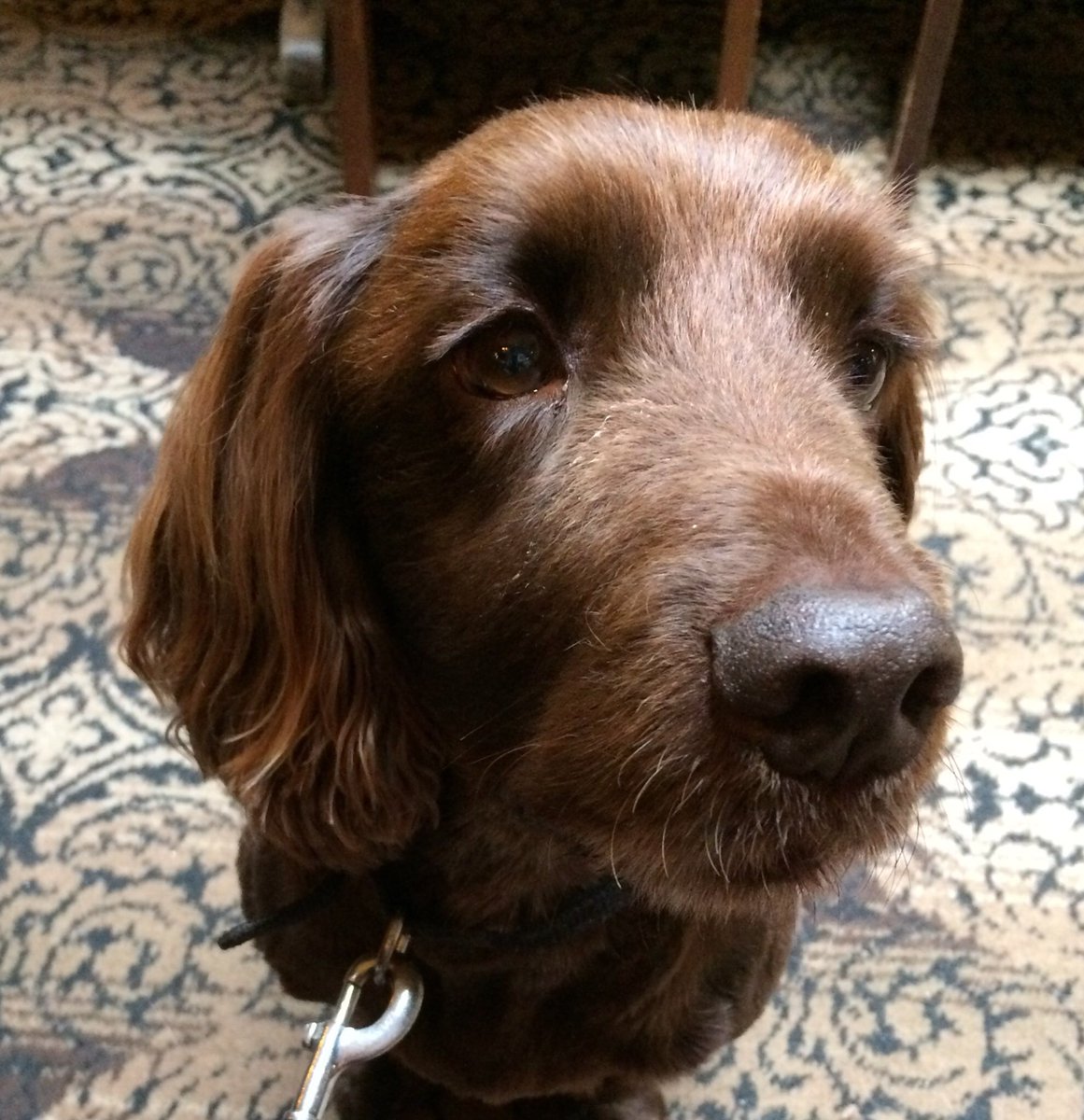 swivel eyed Helen Trying To Make Sense of This tweet media