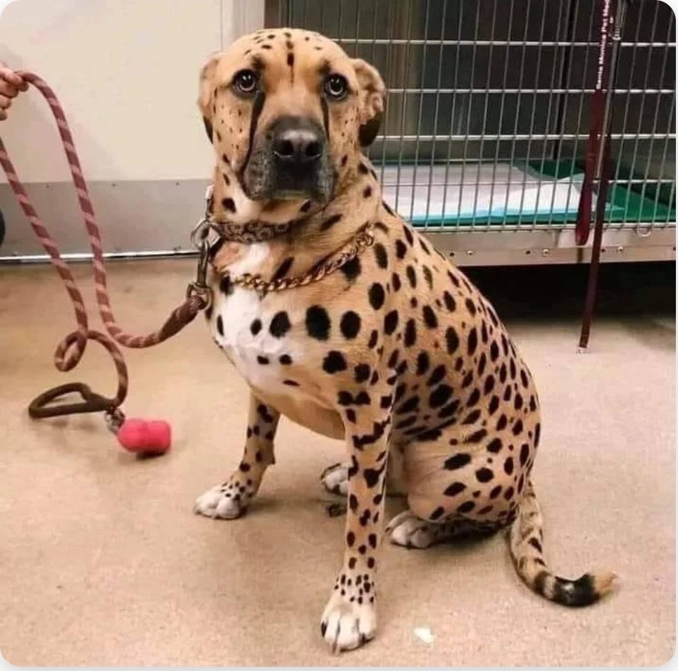 Most people don't want me because I'm not beautiful 🥺🥺 But so far nobody has shared my Face 💔 🥺🙏