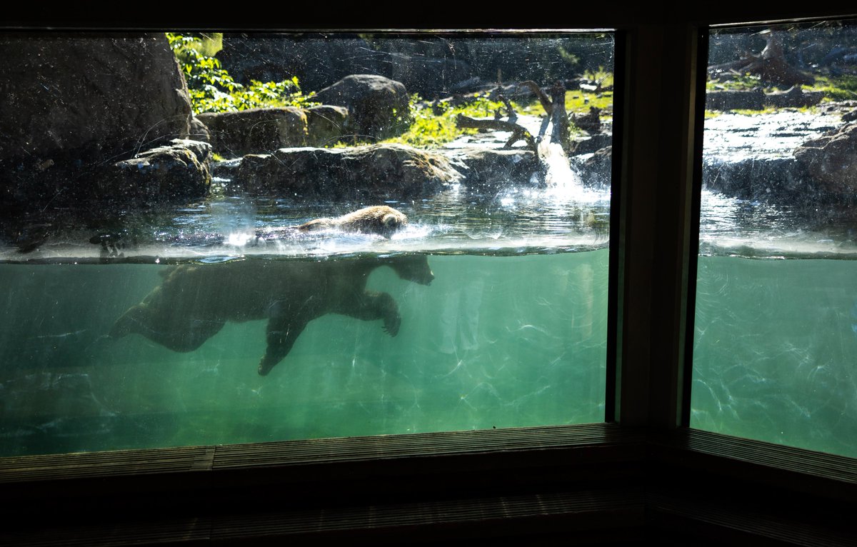 Nick Wagner tweet media