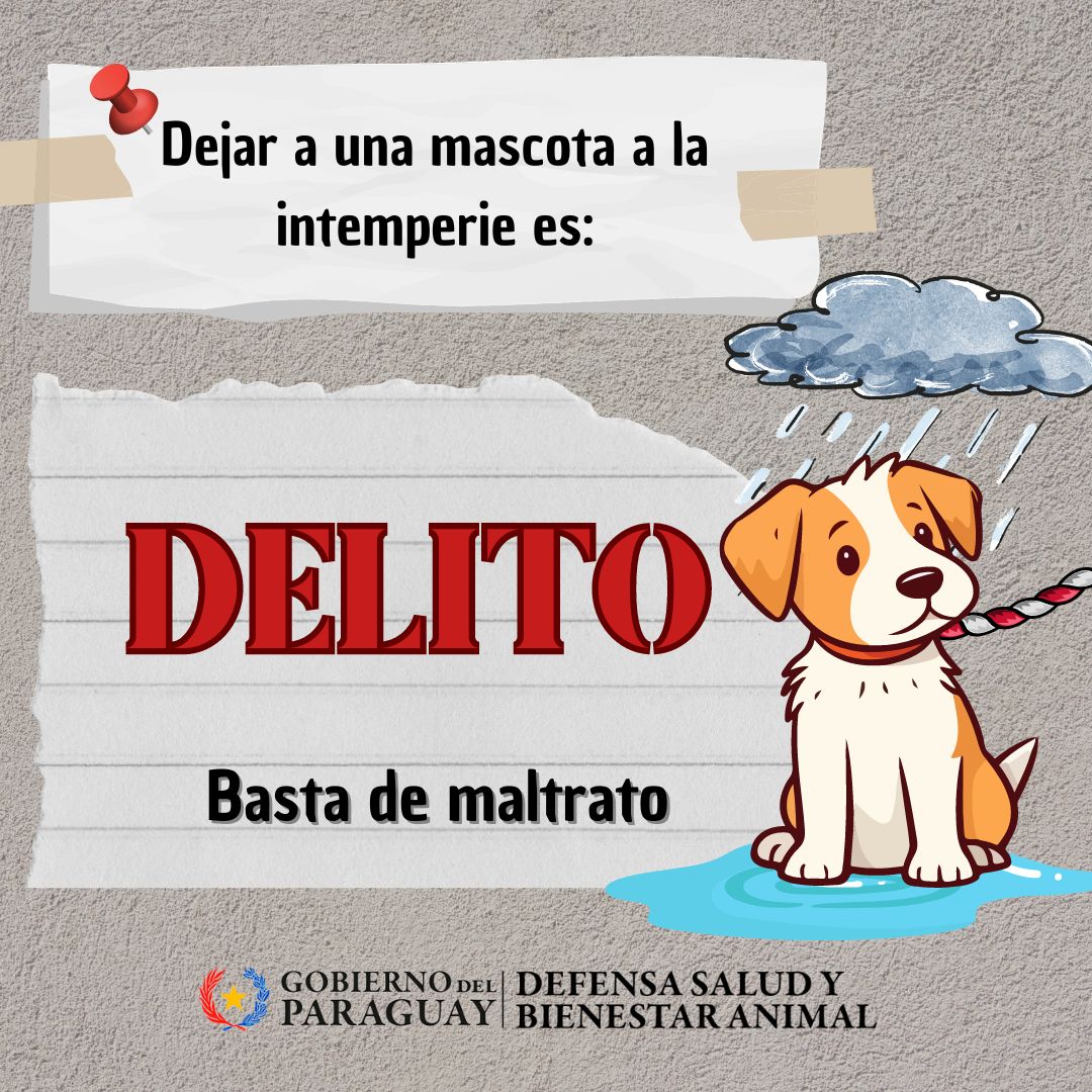 Dirección Nacional de Defensa Animal tweet media