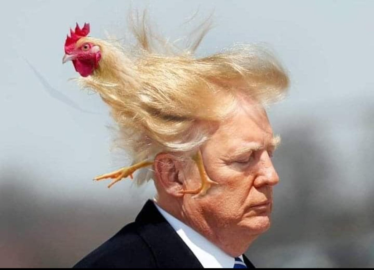 🧦🦋💙JaneyLou💙🦋🧦ALT tweet media