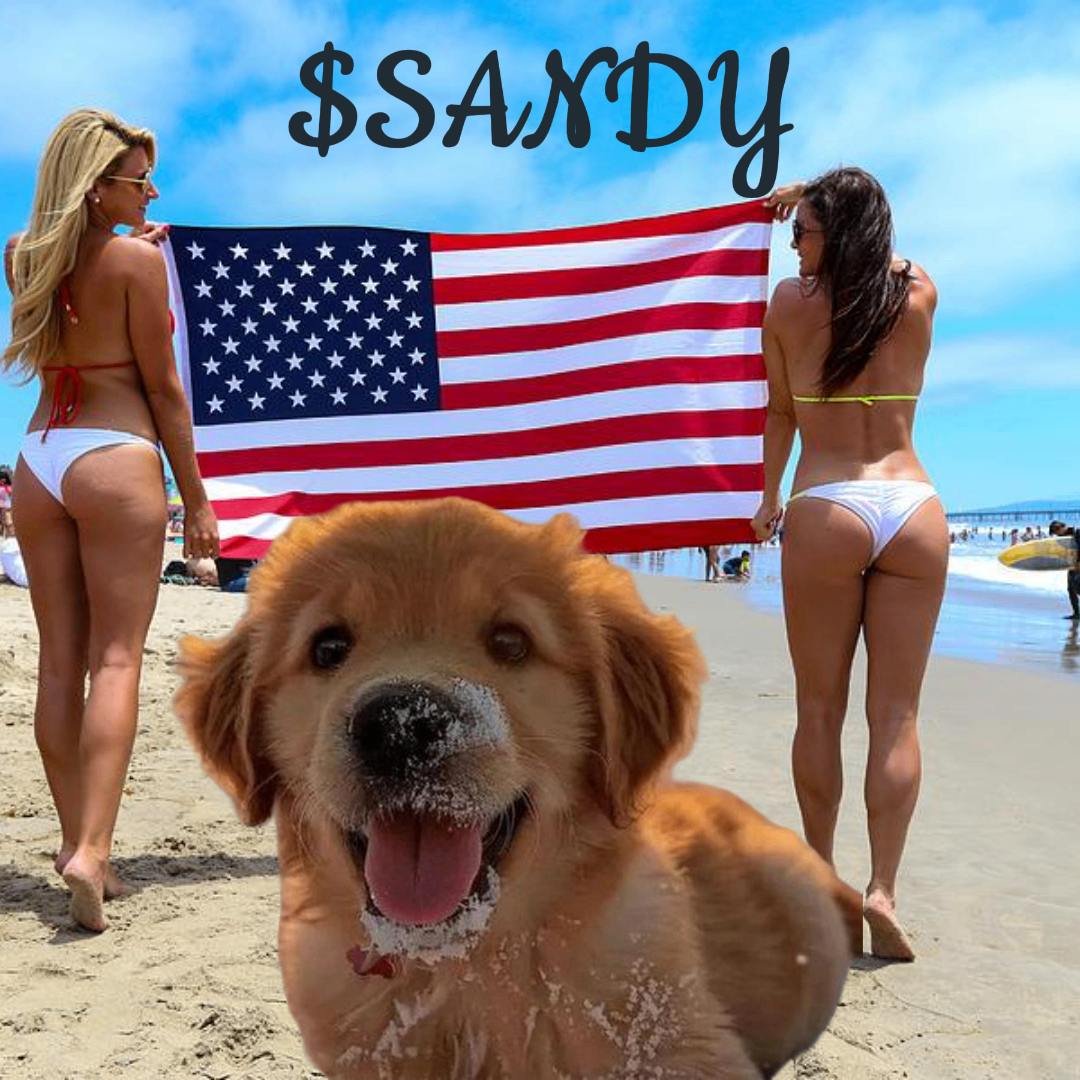 SandyCTO tweet media