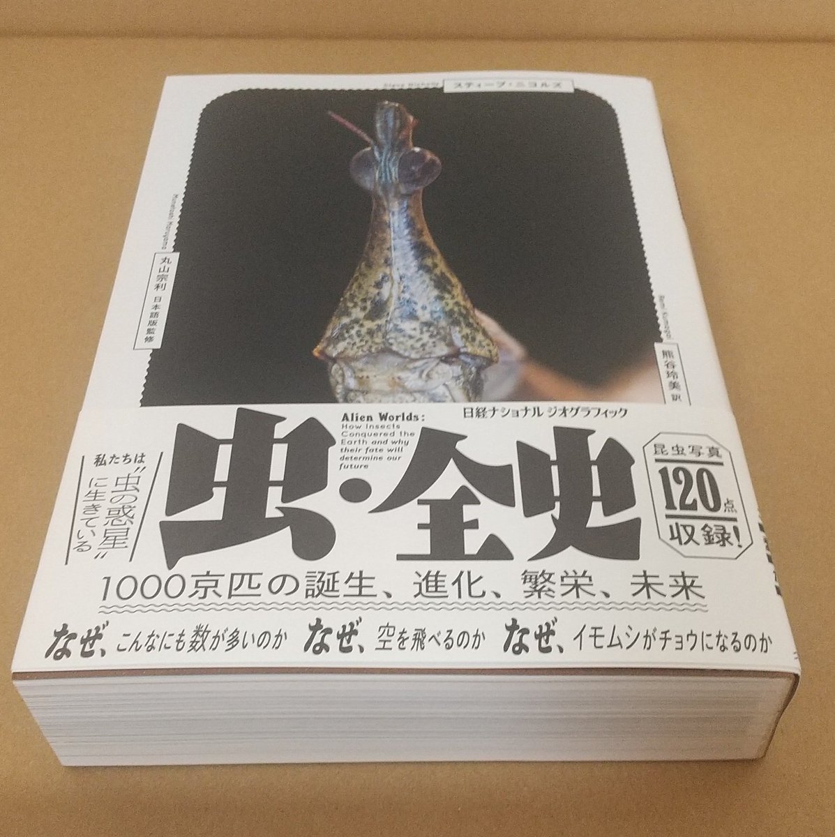 『虫・全史』見本が届きました。圧倒される厚み！表紙のインパクト！ぜひ書店で体感してみてください！