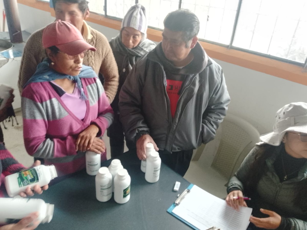 KOPIAEcuador's tweet photo. #Chimborazo | Técnicos del INIAP y del Centro KOPIA Ecuador, entregaron a la Asociación San José de Chazo del cantón Guano 9,5 litros del Bio fertilizante "Fertibacter" para la siembra menor de maíz ciclo 2024-2025. 🌽🌽🤝🤝 https://t.co/ETbJ7O6PbE