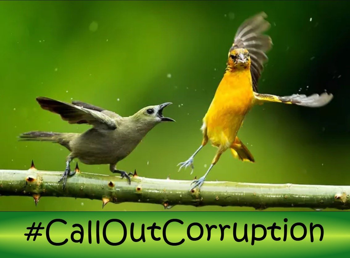 Listen4Always's tweet photo. #CallOutCorruption https://t.co/GjQ0gWAoKs