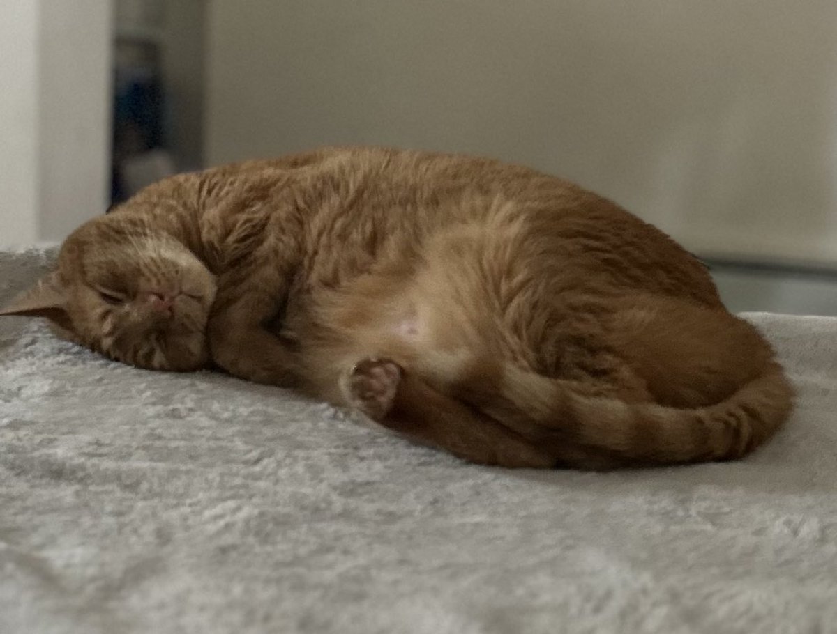 Kimberly Chandler tweet media