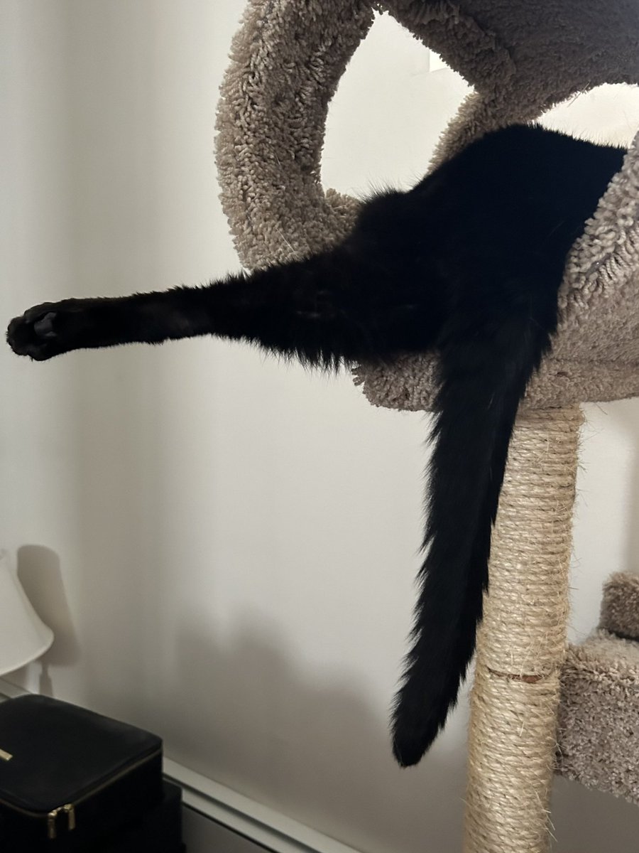 Kimberly Chandler tweet media