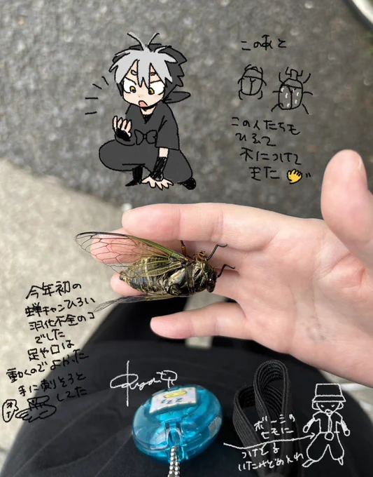 虫拾いびと日記 ⚠️🧸セミ リャン次郎