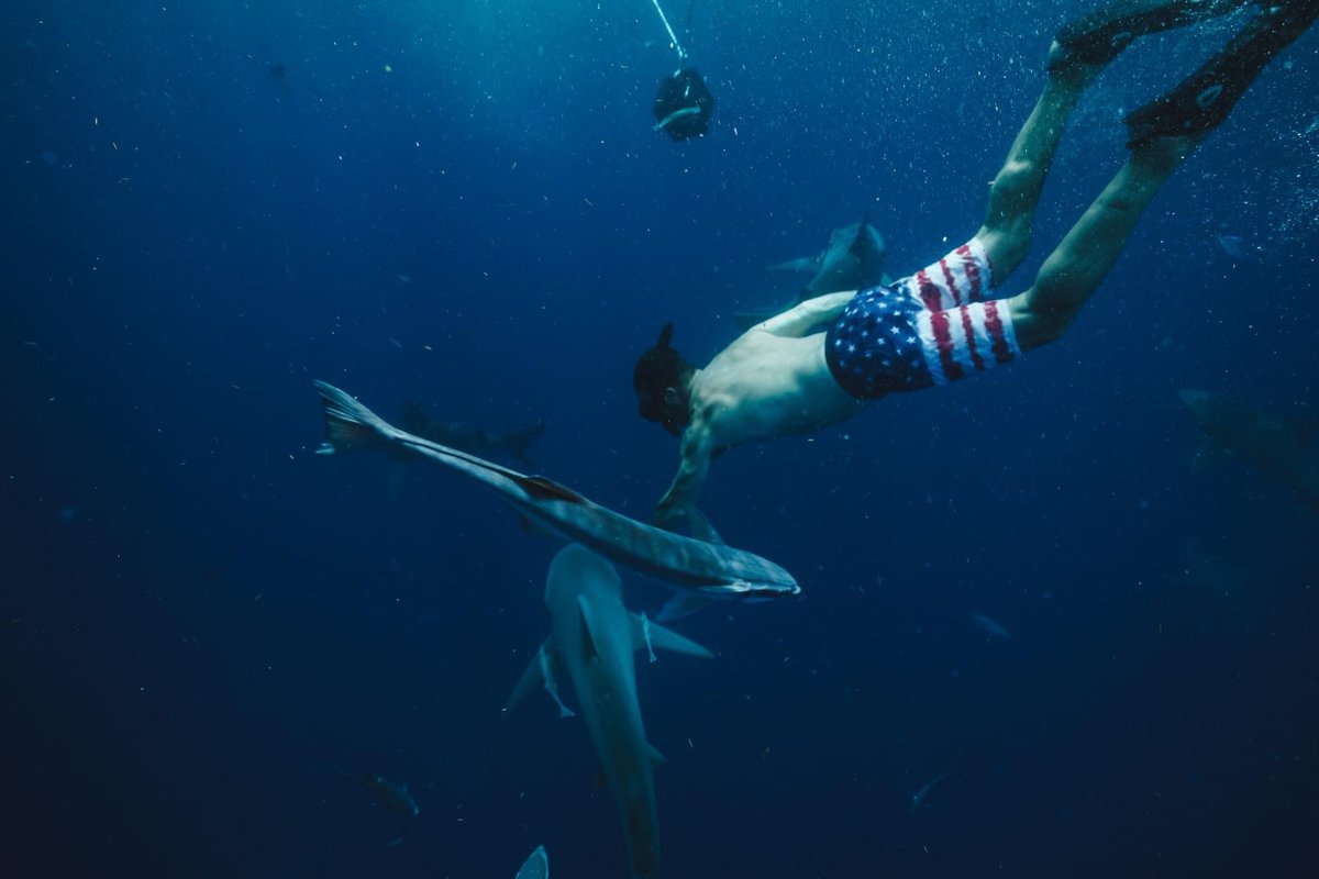 2024 Dive for Freedom. Veterans free diving with sharks. Jupiter, FL