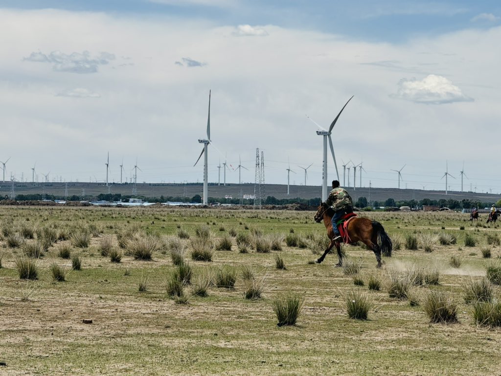 Yelloleopard's tweet image. 乗馬のドーパミンがもっと十分です