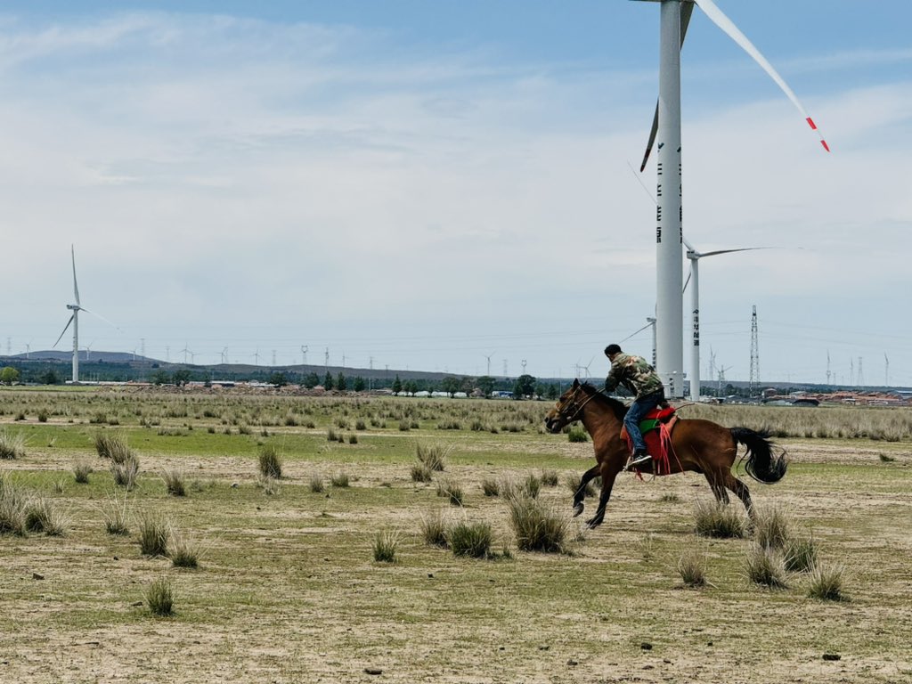 Yelloleopard's tweet image. 乗馬のドーパミンがもっと十分です