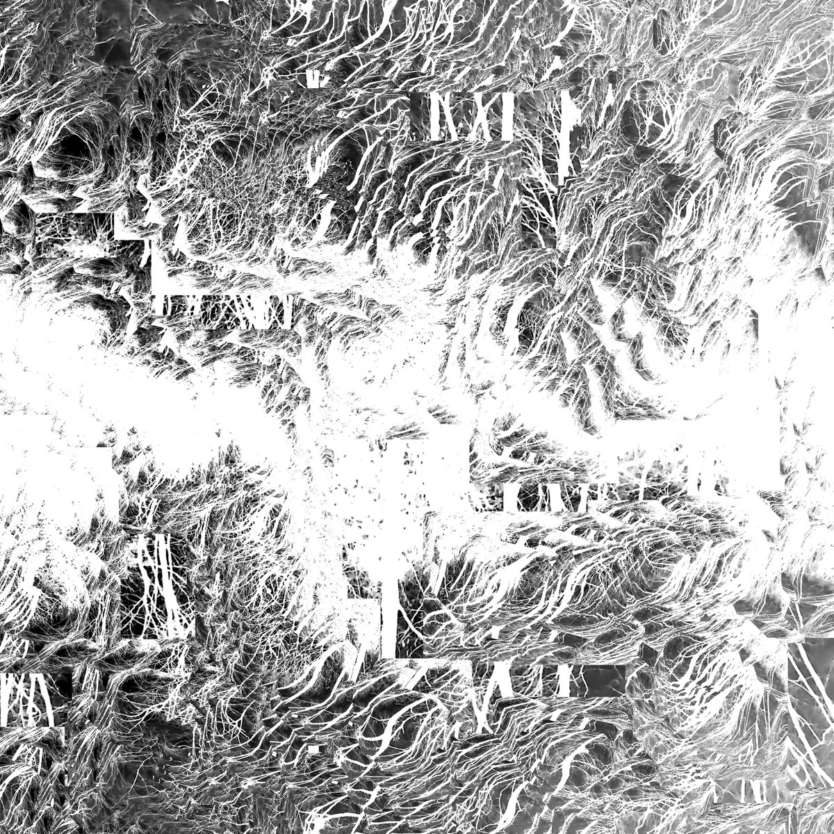 Key Archive tweet media