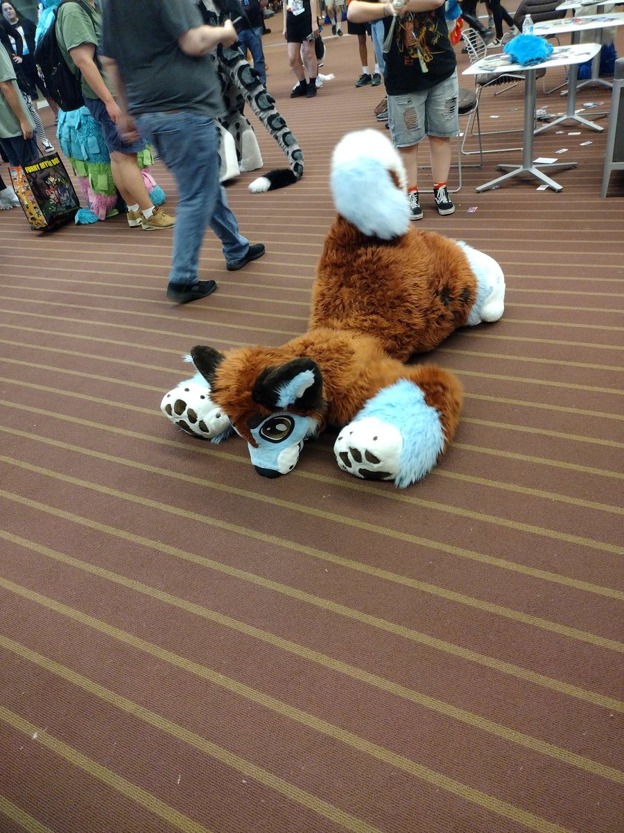 Yuvie ➡️ Anthrocon tweet media