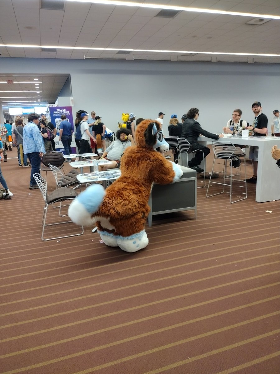 Yuvie ➡️ Anthrocon tweet media
