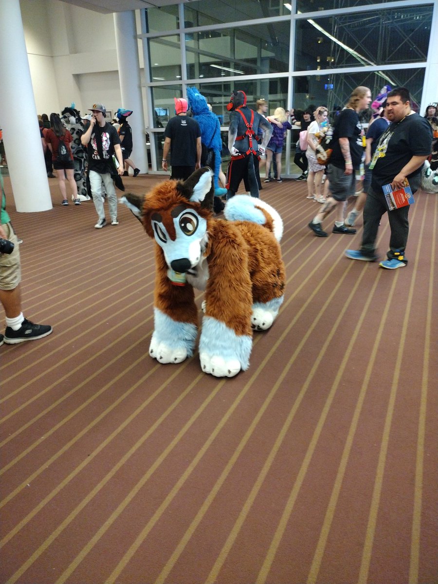 Yuvie ➡️ Anthrocon tweet media