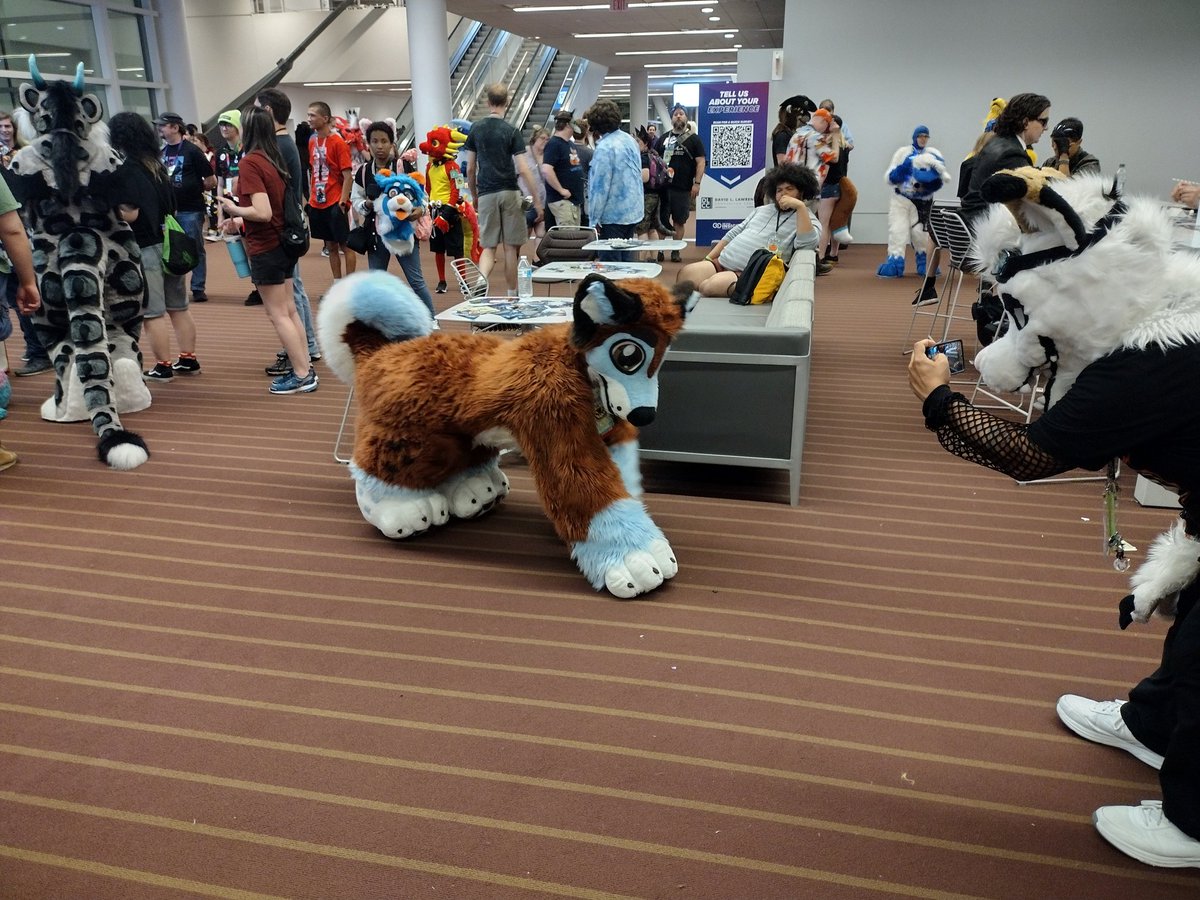 Yuvie ➡️ Anthrocon tweet media